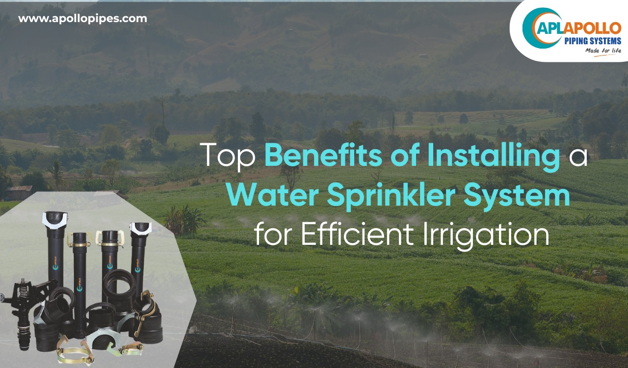 water sprinkler system